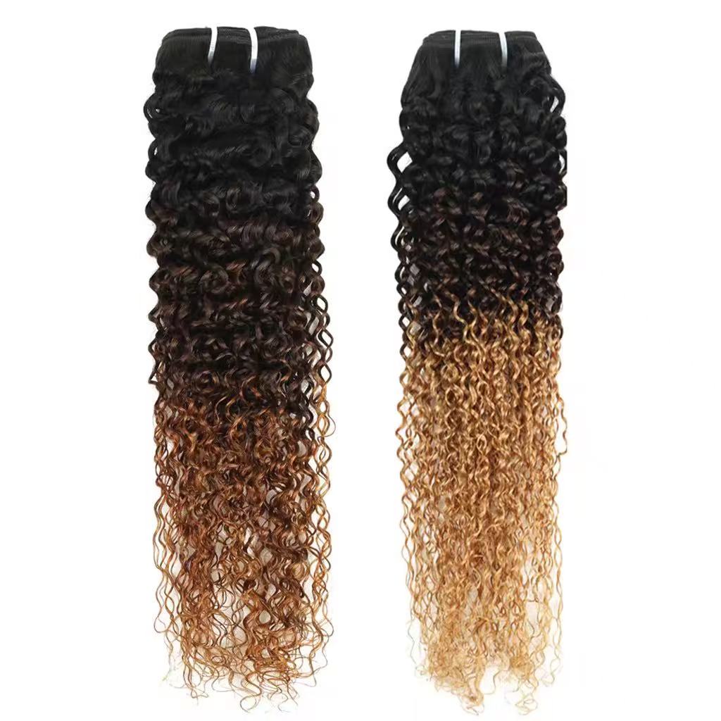 Ombre Color Human Hair Bundle Hair Extension