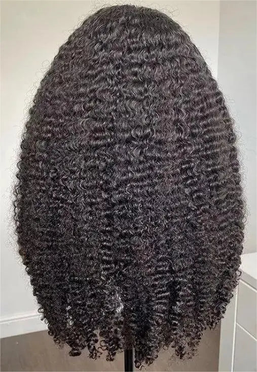 Custom Wholesale 100% Virgin Human Hair Lace Wig ,Long Afro Curly Hair Wig wigworld